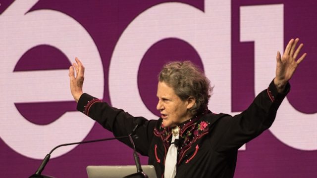 SXSW EDU 2016 Opening Keynote, Temple Grandin. Photo by Rob Santos.